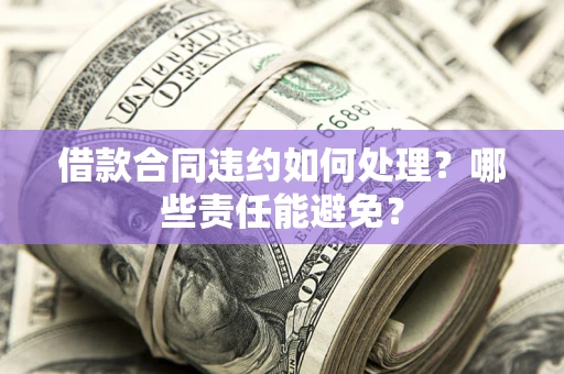 武汉借款合同违约如何处理？哪些责任能避免？