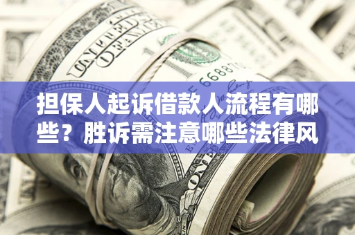 武汉担保人起诉借款人流程有哪些？胜诉需注意哪些法律风险？